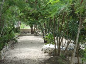 Shaded path in Belize – Best Places In The World To Retire – International Living